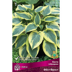 ����  ����� ��������� Ը�� �����, ������ �� 292 ���