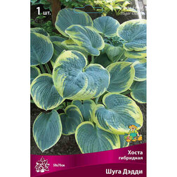 ����  ����� ��������� ���� �����, ������ �� 462 ���