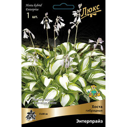 ����  ����� ��������� ����������, ������ �� 501 ���