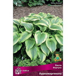 ����  ����� ������� ��������������, ������ �� 263 ���