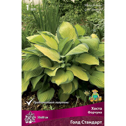 ����  ����� ������� ���� ��������, ������ �� 292 ���