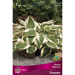 ����  ����� ������� �������, ������ �� 382 ���