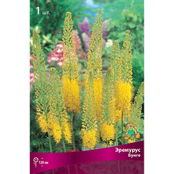 ����  �������� �����, ������ �� 501 ���