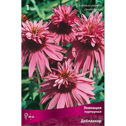 ����  �������� ��������� ���������, ������ �� 348 ���