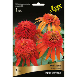 ����  �������� ��������� �����������, ������ �� 1008 ���