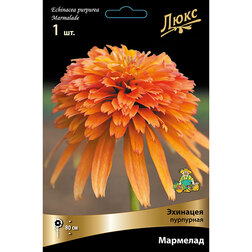 ����  �������� ��������� ��������, ������ �� 1008 ���