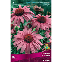 ����  �������� ��������� ������, ������ �� 348 ���