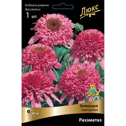 ����  �������� ��������� ����������, ������ �� 929 ���