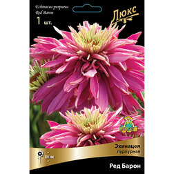 ����  �������� ��������� ��� �����, ������ �� 929 ���