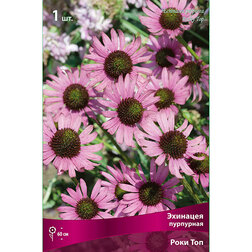 ����  �������� ��������� ���� ���, ������ �� 348 ���