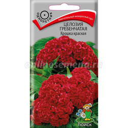 ����  ������� ����������� ������ ������� (���� ������. �� ����� 2024 �), ������ �� 36 ���