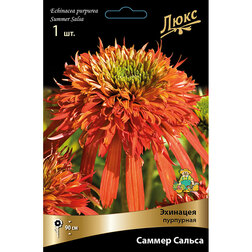 ����  �������� ��������� ������ ������, ������ �� 929 ���