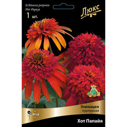 ����  �������� ��������� ��� ������, ������ �� 1008 ���