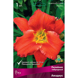 ����  �������� ��������� �������, ������ �� 421 ���