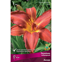 ����  �������� ��������� �����, ������ �� 348 ���