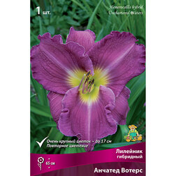 ����  �������� ��������� ������� ������, ������ �� 459 ���