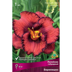 ����  �������� ��������� ���������, ������ �� 572 ���