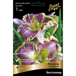 ����  �������� ��������� ����������, ������ �� 625 ���