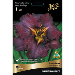 ����  �������� ��������� ���� ��������, ������ �� 572 ���