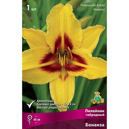 ����  �������� ��������� �������, ������ �� 246 ���