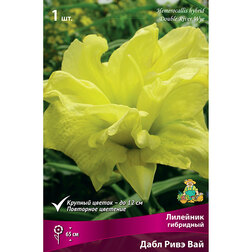 ����  �������� ��������� ���� ���� ���, ������ �� 357 ���