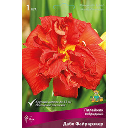 ����  �������� ��������� ���� ����������, ������ �� 501 ���