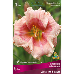 ����  �������� ��������� ������ �����, ������ �� 368 ���