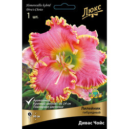 ����  �������� ��������� ����� ����, ������ �� 625 ���