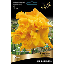 ����  �������� ��������� ������� ���, ������ �� 625 ���