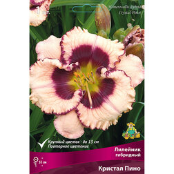 ����  �������� ��������� ������� ����, ������ �� 501 ���