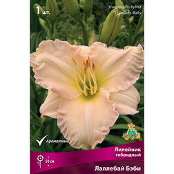 ����  �������� ��������� �������� ����, ������ �� 285 ���