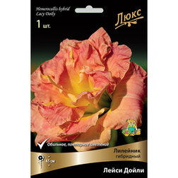 ����  �������� ��������� ����� �����, ������ �� 459 ���