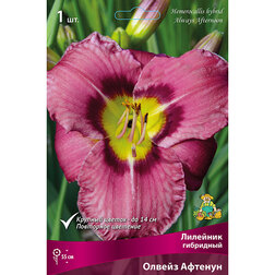 ����  �������� ��������� ������ �������, ������ �� 459 ���