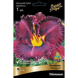 ����  �������� ��������� ��������, ������ �� 459 ���