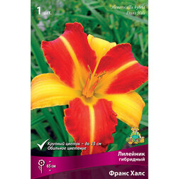 ����  �������� ��������� ����� ����, ������ �� 246 ���