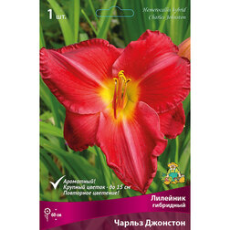 ����  �������� ��������� ������ ��������, ������ �� 411 ���