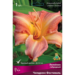 ����  �������� ��������� (�������� ���������), ������ �� 246 ���