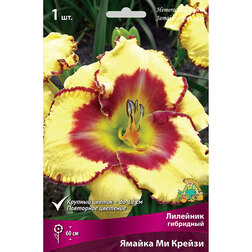 ����  �������� ��������� ������ �� ������, ������ �� 501 ���