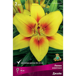 ����  ����� ��������� ����� (2 ��.), ������ �� 394 ���