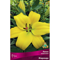 ����  ����� ��������� ������� (2 ��.), ������ �� 306 ���