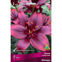 ����  ����� ��������� ������ (2 ��.), ������ �� 319 ���