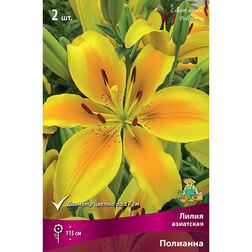 ����  ����� ��������� �������� (2 ��.), ������ �� 306 ���