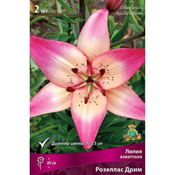 ����  ����� ��������� ������ ���� (2 ��.), ������ �� 370 ���