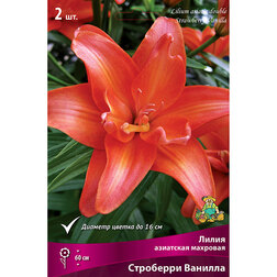 ����  ����� ��������� �������� ��������� ������� (2 ��.), ������ �� 462 ���