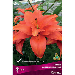 ����  ����� ��������� �������� ������ (2 ��.), ������ �� 462 ���