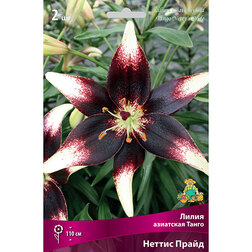 ����  ����� ��������� ����� ������ ����� (2 ��.), ������ �� 387 ���