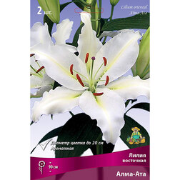 ����  ����� ��������� ���� - ��� (2 ��.), ������ �� 319 ���