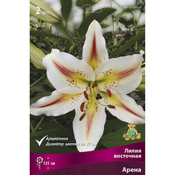 ����  ����� ��������� ����� (2 ��.), ������ �� 438 ���