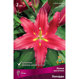 ����  ����� ��������� ������� (2 ��.), ������ �� 306 ���