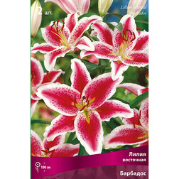 ����  ����� ��������� �������� (2 ��.), ������ �� 333 ���